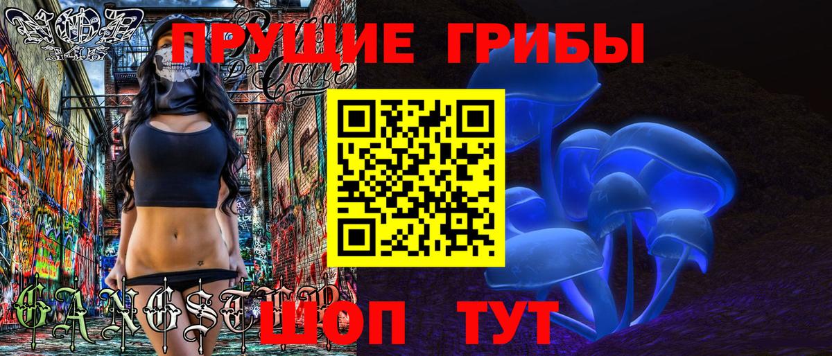 Псилоцибиновые грибы GOLDEN TEACHER  Вход с VPN  Севастополь  Псилоцибиновые грибы Psilocybine cubensis 